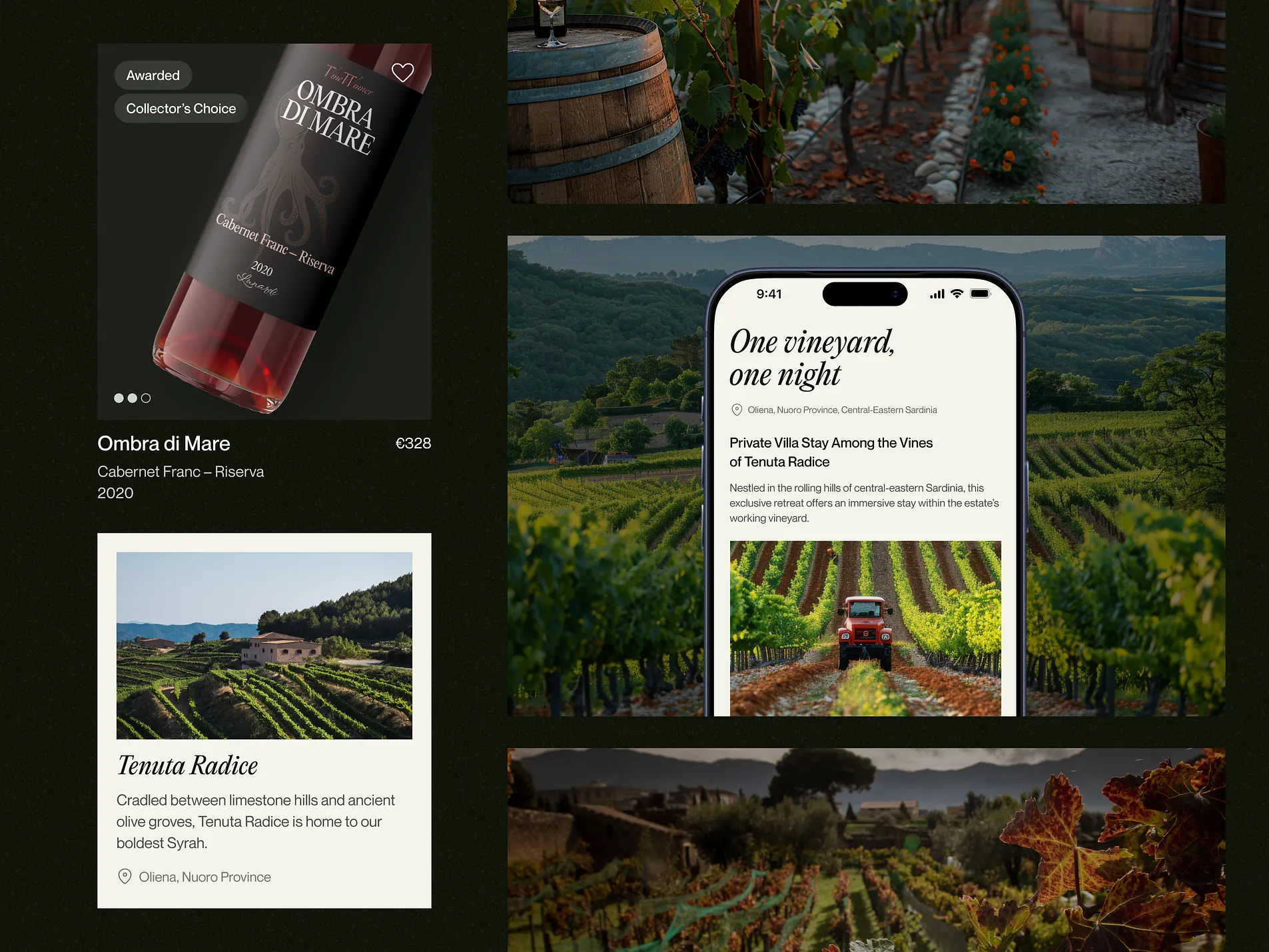 VineWinner — vista 4